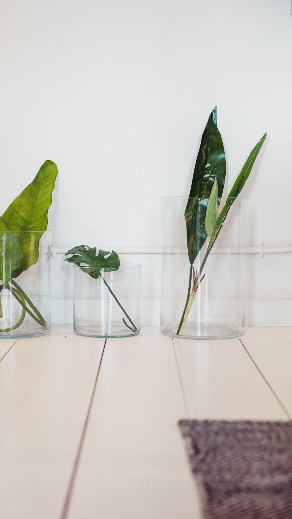 Simple Plants