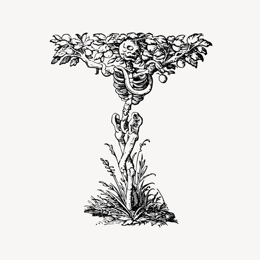 Skeleton tree clipart, drawing illustration