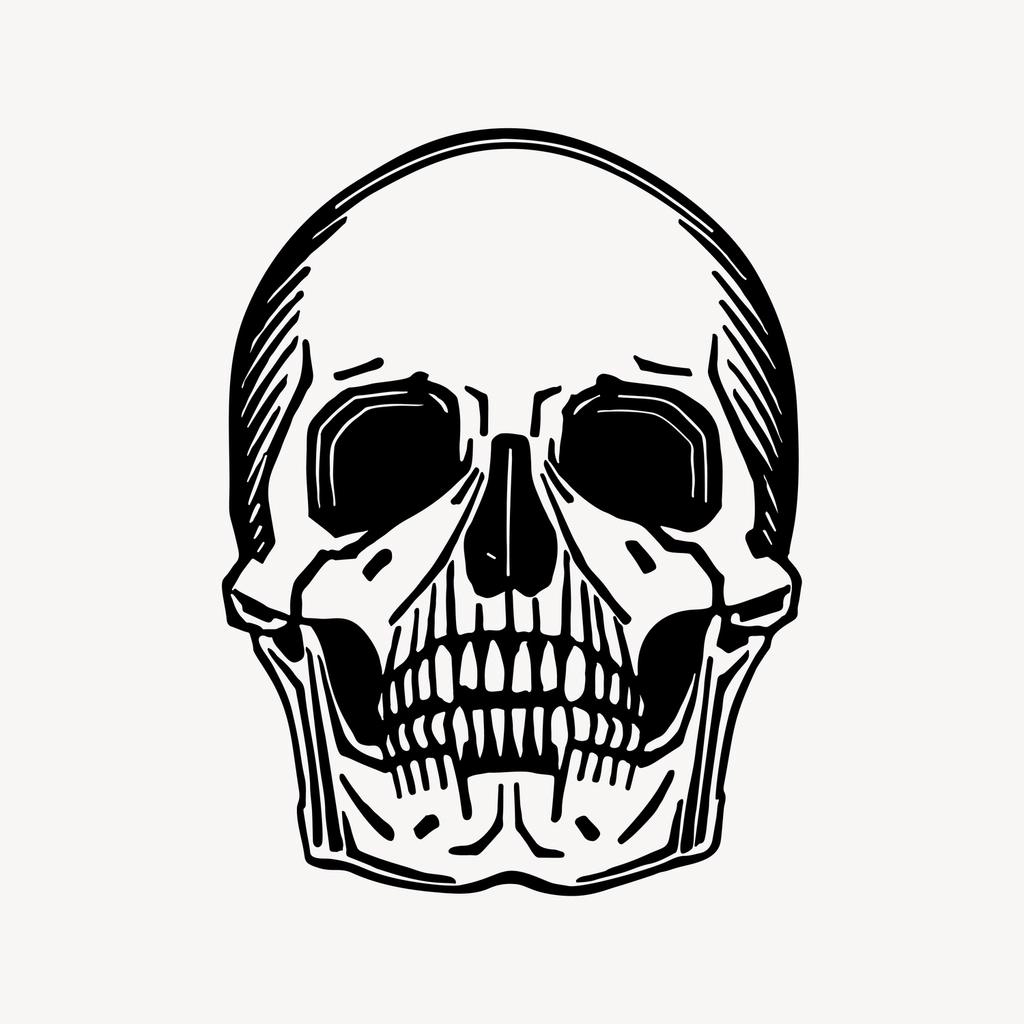 Skull hand drawn clipart, death