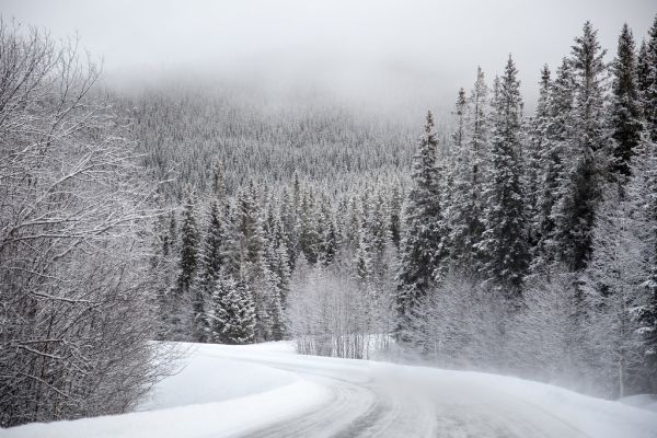 snow-1246199