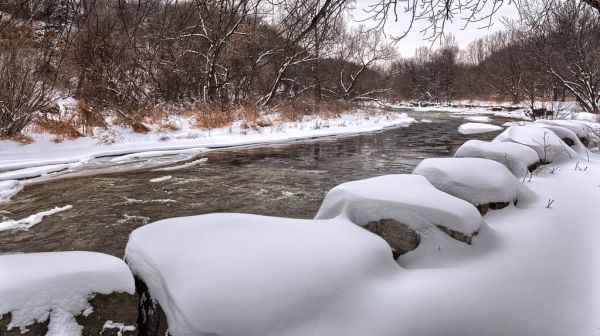 Snowfall on the Credit River