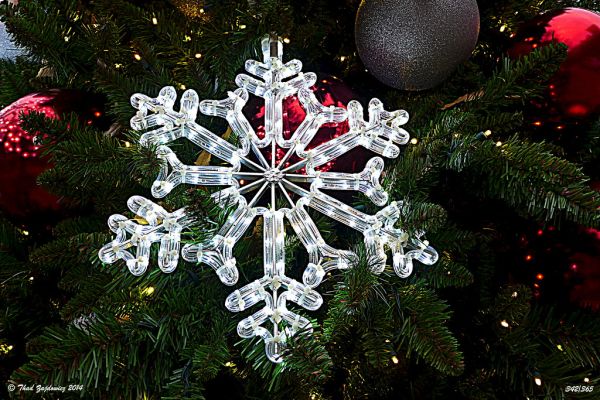 Snowflake -- 'Explored 10 December 2014'