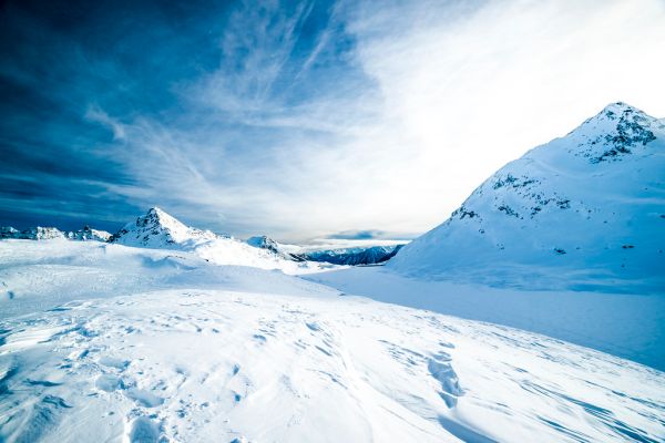 Snowy Landscape