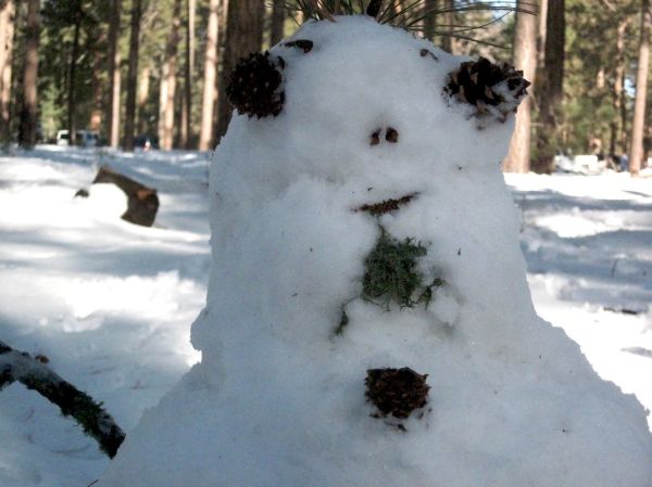 Soul Patch Snow Man