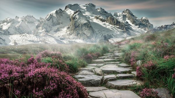 Stairs to mountain