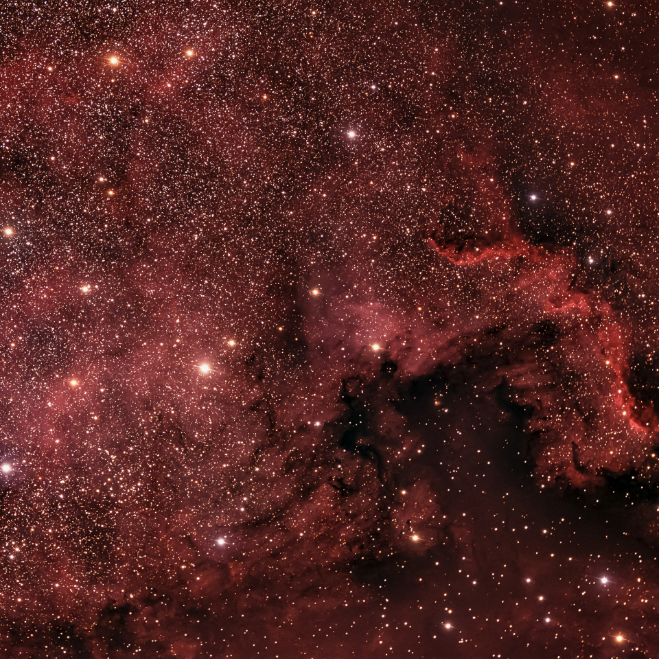 Starry Sky