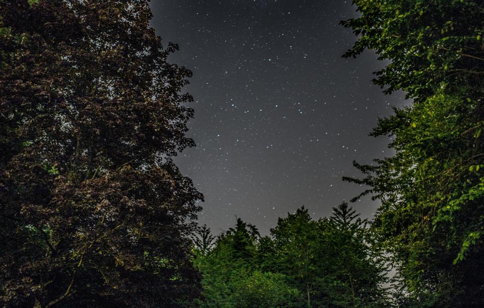 Stars Night
