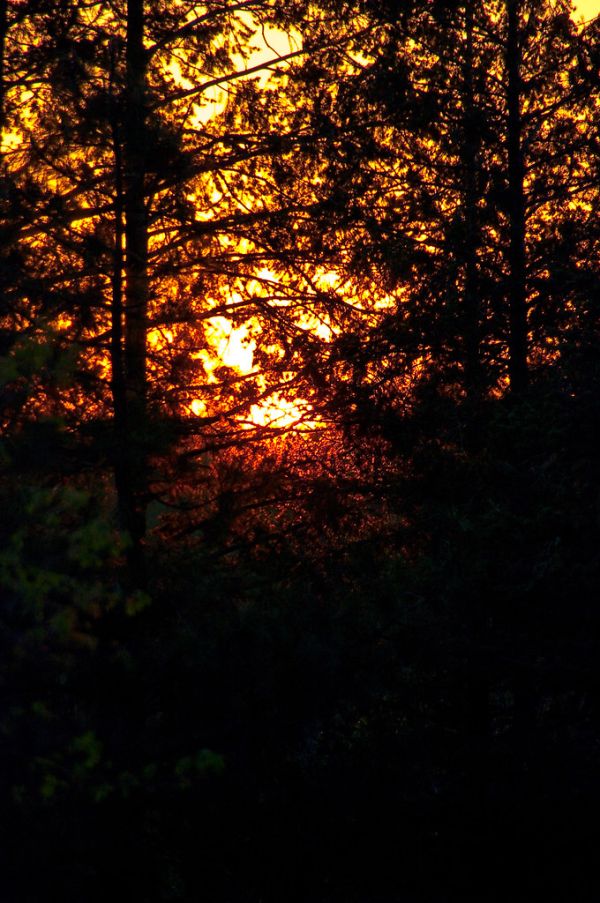 Sunset at camp