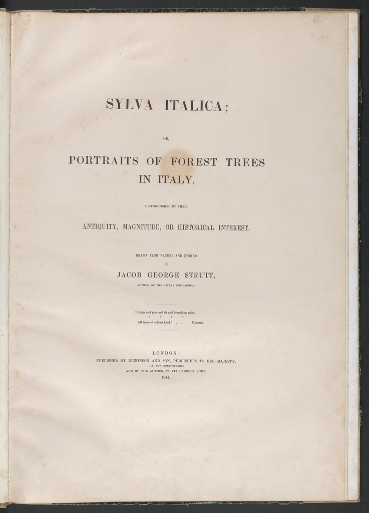 Sylva Italica, Portraits forest trees