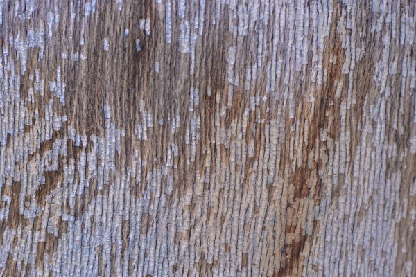 Texture