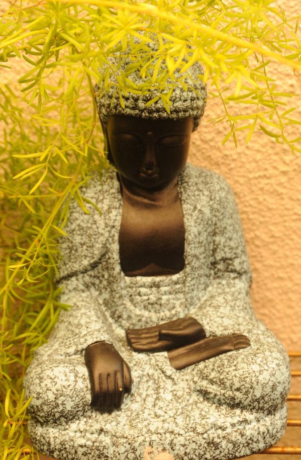 Textured statue of a black Buddha, with open hand, grasping knee, feet in lotus position, green plant, garden, South Bay Vajrayana, Cupertino, Silicon Valley, California, USA