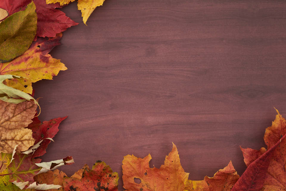 Thanksgiving Background