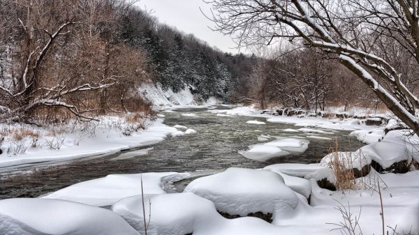 The Credit River, Mississauga