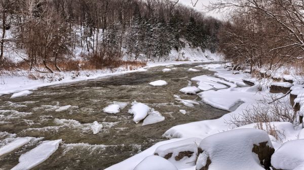 The Credit River, Mississauga