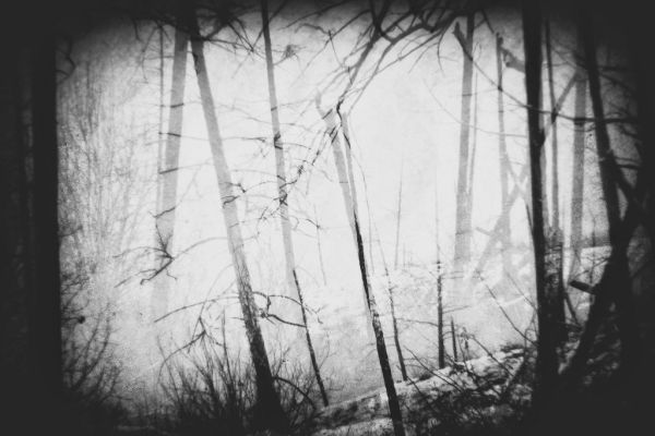 The destruction that wastes