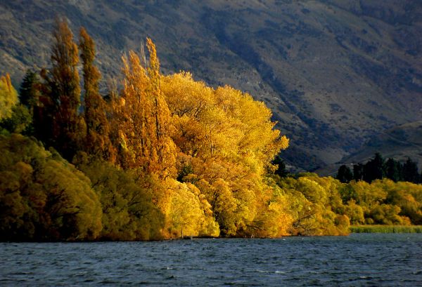 The golden season.