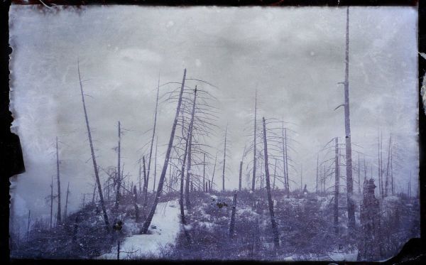 The Path Home