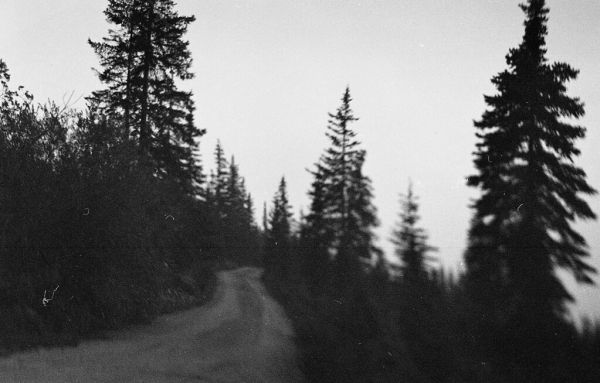 The Path Less Travelled