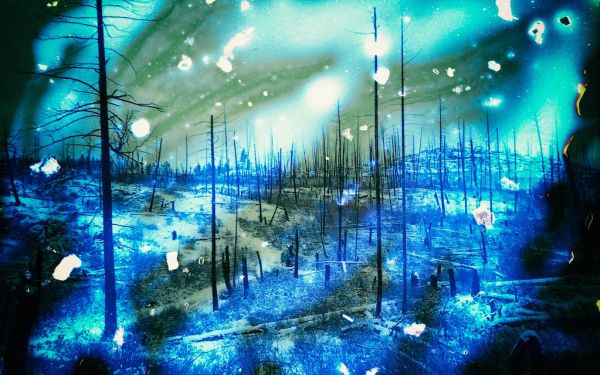 The Path