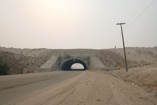 The road to dystopia