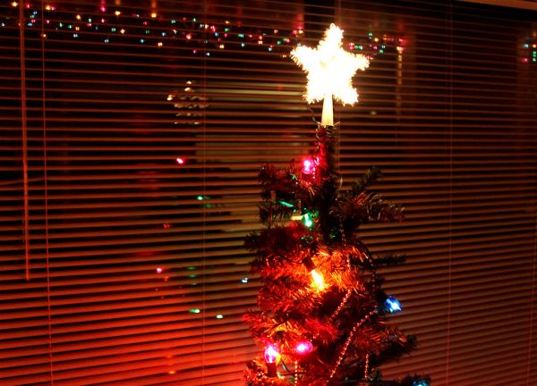 The Tree