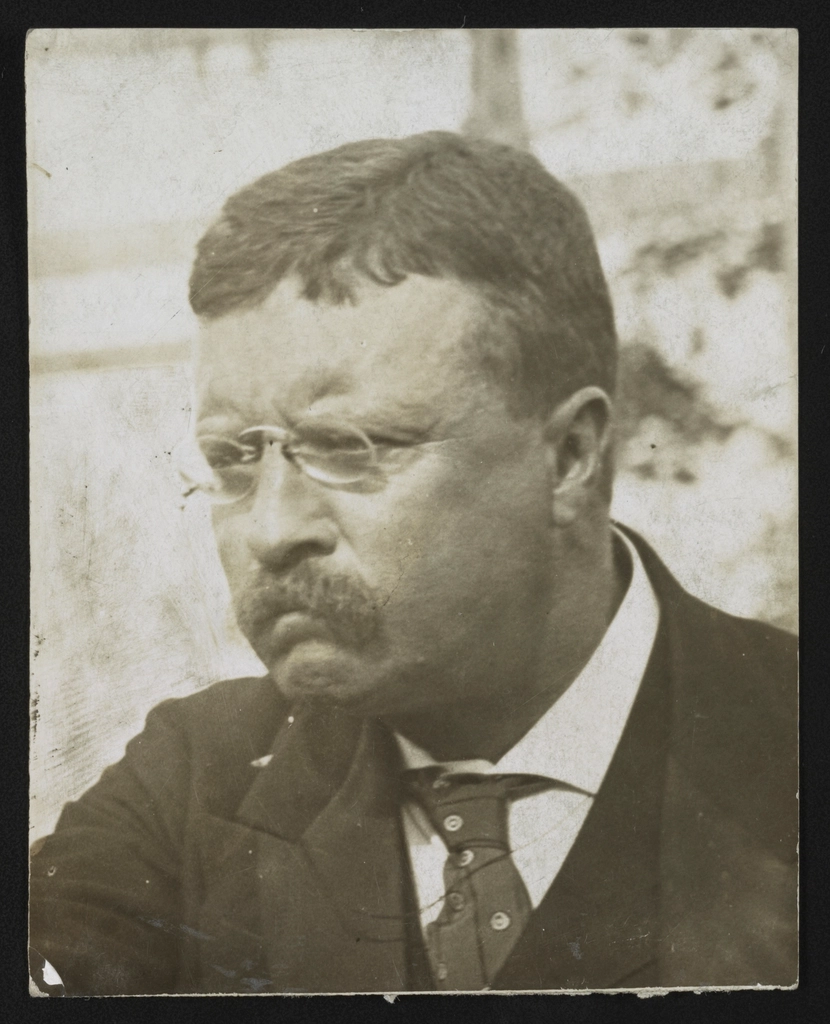 Theodore Roosevelt, bust portrait, facing