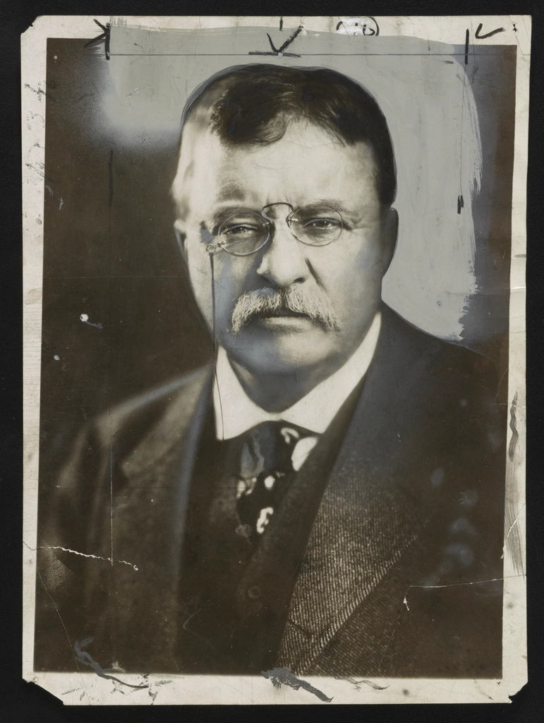 Theodore Roosevelt, head-and-shoulders portrait, facing