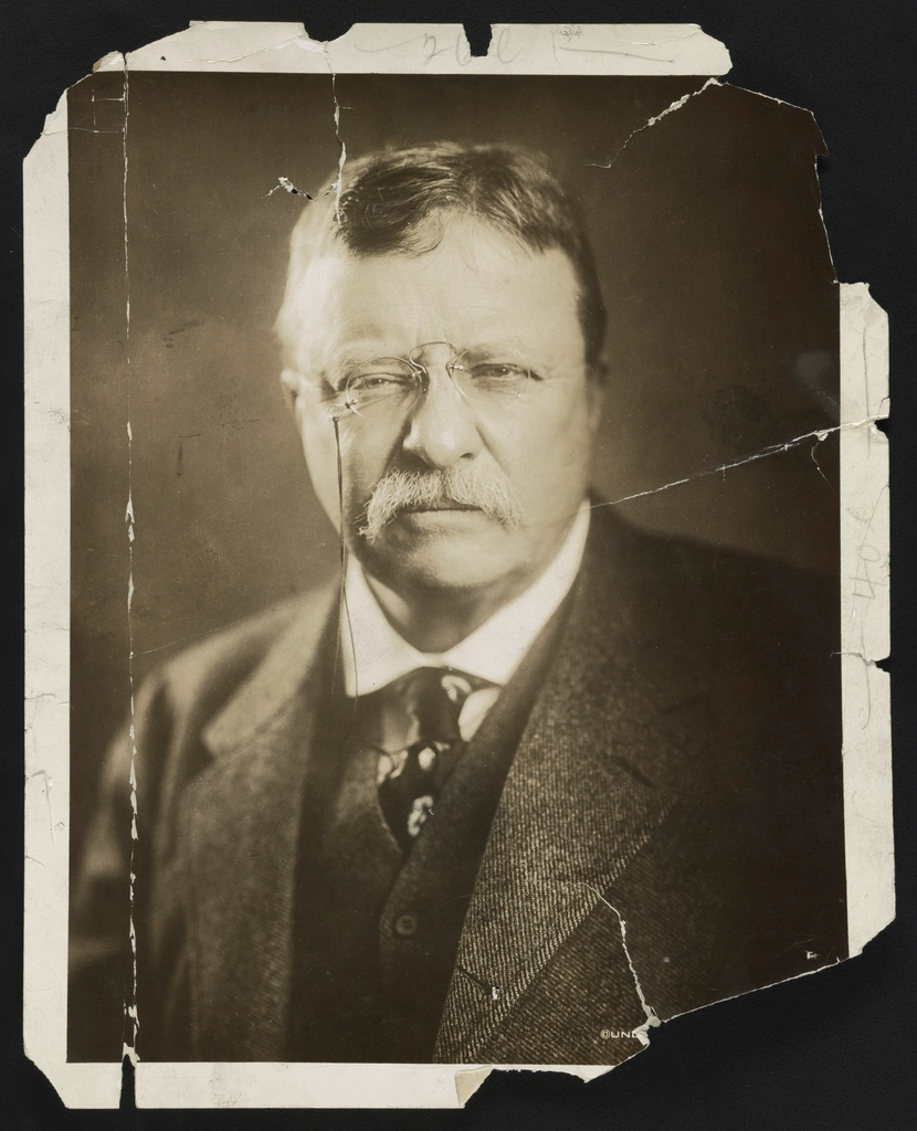 Theodore Roosevelt, head-and-shoulders portrait, facing