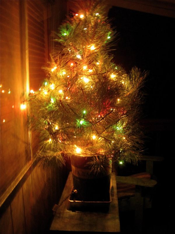 This Little Tree