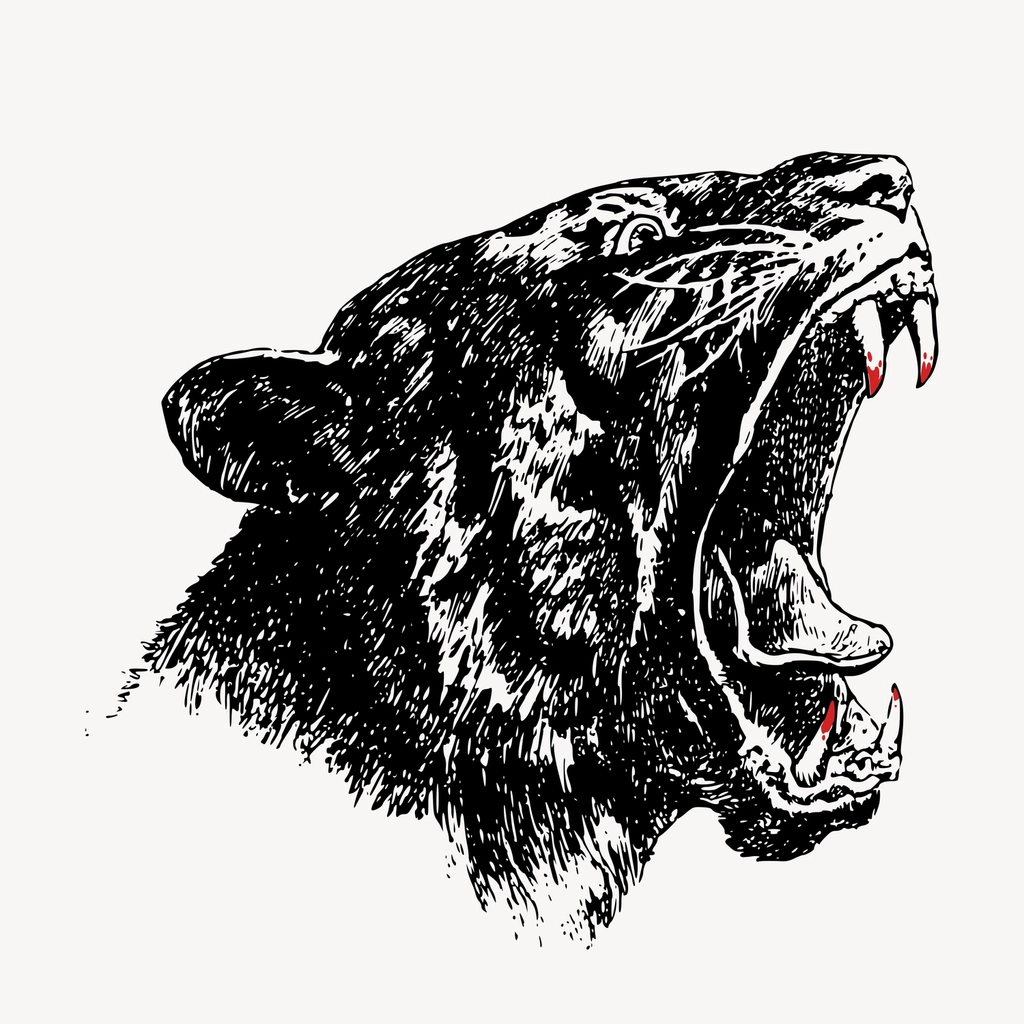 Tiger head hand drawn clipart