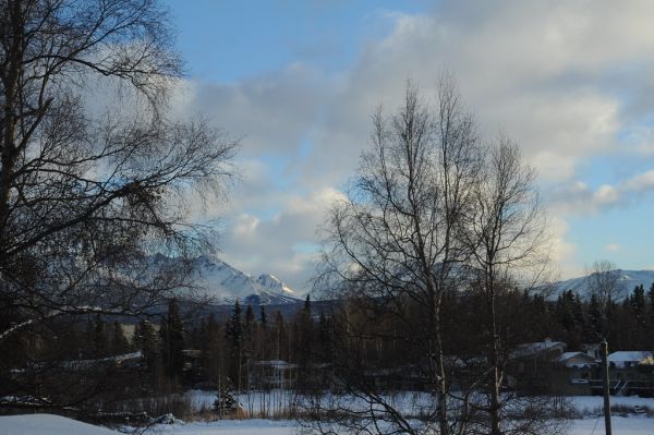 Tip of Chugach Range from Lake Otis, winter, snow, trees, houses, cloudy day, Anchorage, Alaska, USA