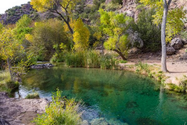 Tonto Bench on Fossil Creek (November 14, 2017)