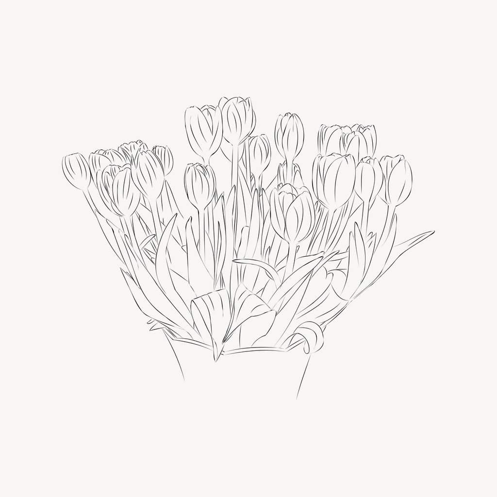 Tulips line art illustration, black