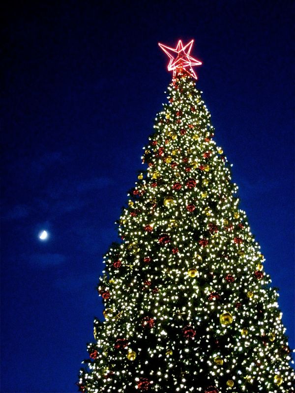 Union Square Xmas Tree