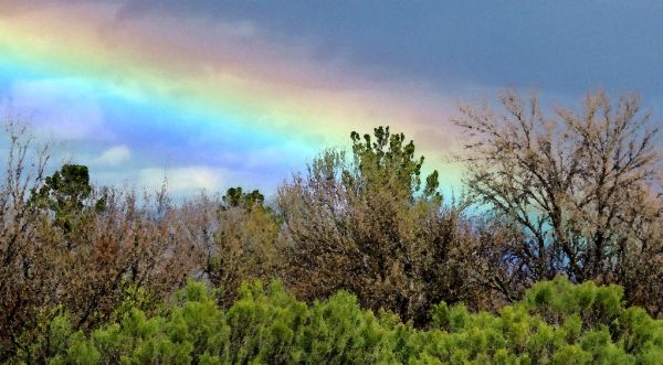VIEW FROM THE HEREFORD HOUSE - 011 (2-4-2018) -03 WATERCOLOR