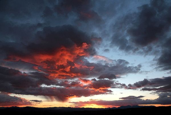 VIEW FROM THE HOUSE - 0253 (1-17-2017) -01 watercolor