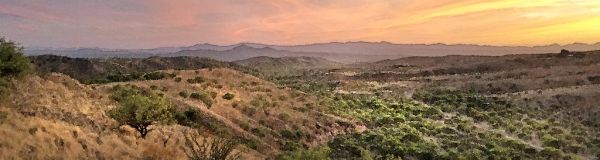 VIEW FROM THE HOUSE - 0273 (4-19-2018) -02c WATERCOLOR