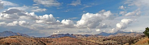 VIEW FROM THE HOUSE (2-15-2017) WATERCOLOR via Photoshop (3)