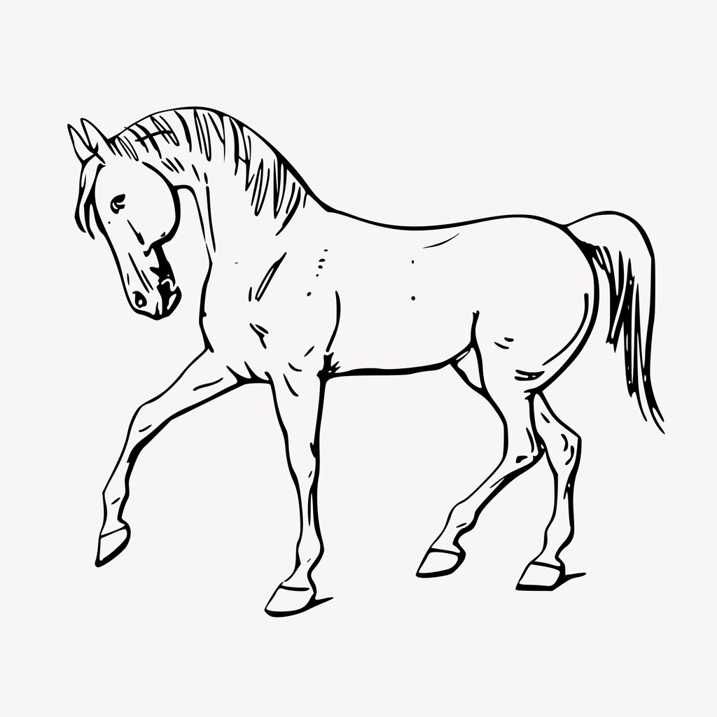 Walking horse line art, animal