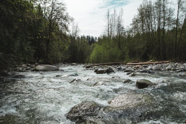 Water flows over rocks
