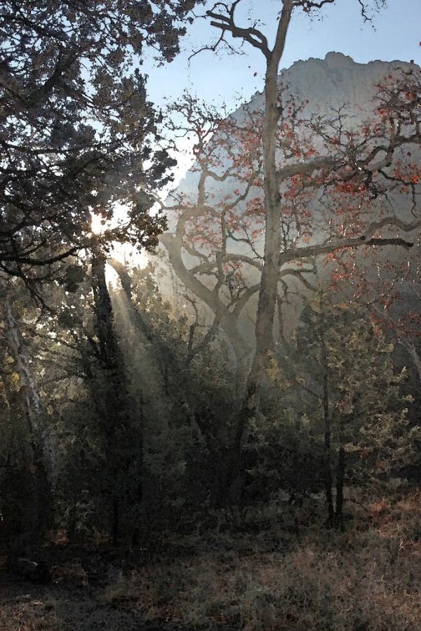 WATERCOLOR - ARIZONA - Cochise Co (5)