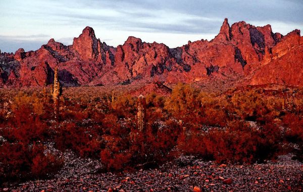 WATERCOLOR - ARIZONA - Kofa Game Range