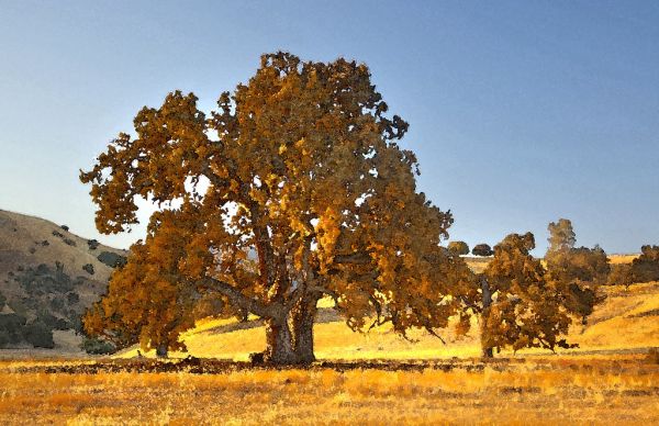 WATERCOLOR - CA - SLO CO (18)