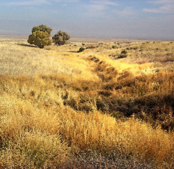 WATERCOLOR - CA - SLO CO (20)