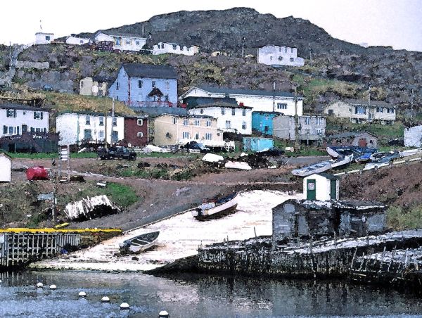 WATERCOLOR - NEWFOUNDLAND (1)