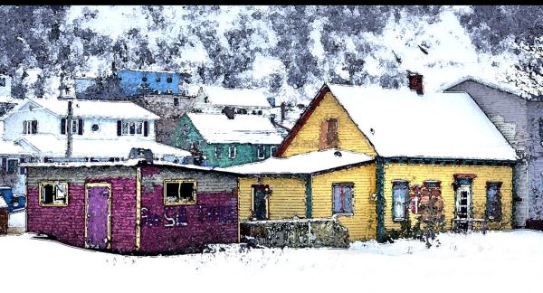 WATERCOLOR - NEWFOUNDLAND (10)