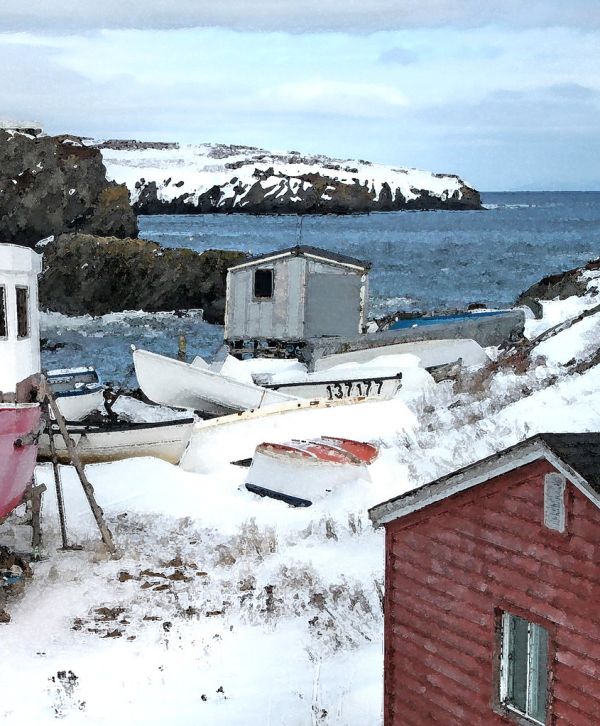 WATERCOLOR - NEWFOUNDLAND (12)