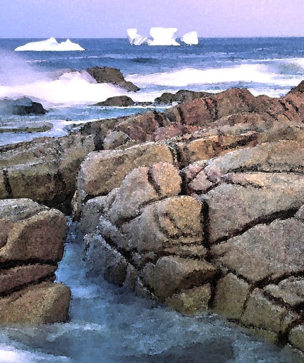 WATERCOLOR - NEWFOUNDLAND (13)
