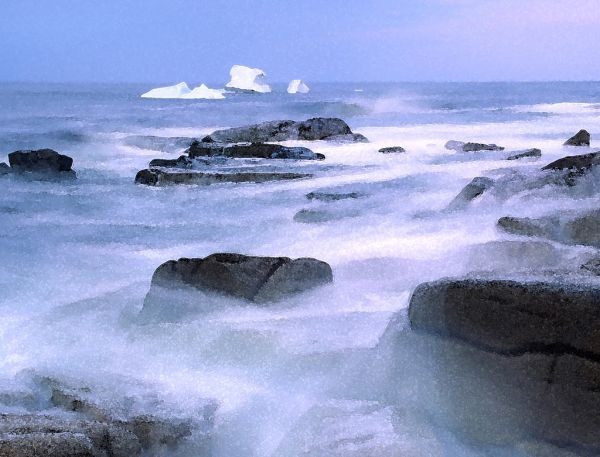 WATERCOLOR - NEWFOUNDLAND (14)