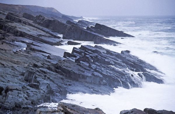 WATERCOLOR - NEWFOUNDLAND (19)